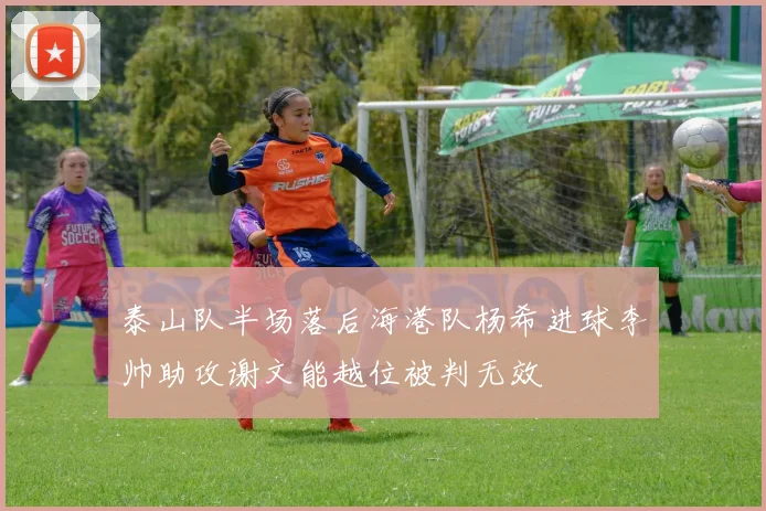 泰山队半场落后海港队杨希进球李帅助攻谢文能越位被判无效