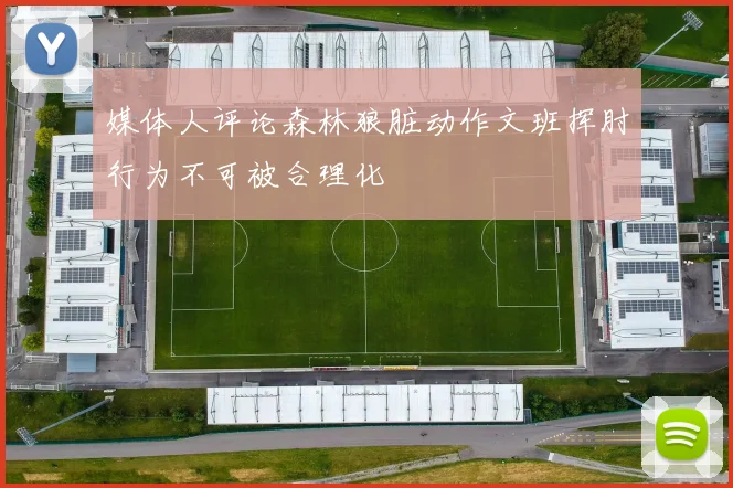 媒体人评论森林狼脏动作文班挥肘行为不可被合理化
