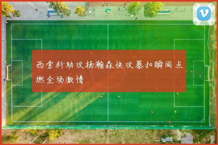 西索科助攻杨瀚森快攻暴扣瞬间点燃全场激情